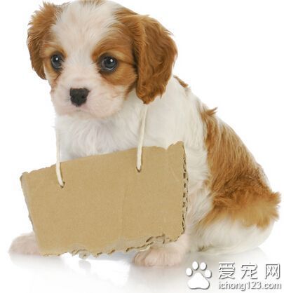 参加杯赛期间如何合理安排饮食和休息_0